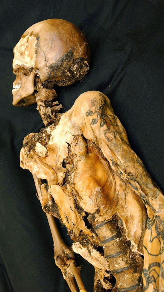 a preserved tattooed body of Ukok the Siberian princess. She has a flowering animal tatoo on her shoulder, and other tattoos visible on her forearm