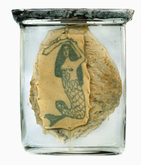 a specimen of wet-preserved skin in a jar showing a tattoo of a mermaid